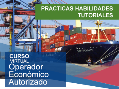 Practicas Habilidades Tutoriales OEA 