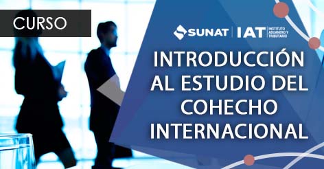 Introducción al Estudio del Cohecho Internacional