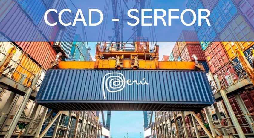 CURSO DE CAPACITACIÓN EN ADUANAS PARA PERSONAL DE SERFOR