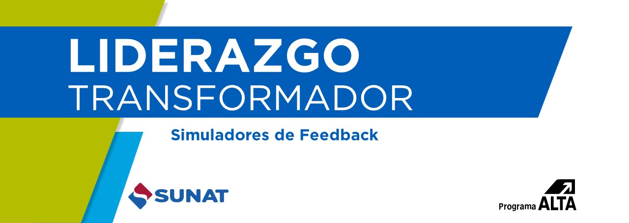 SIMULADORES DE FEEDBACK