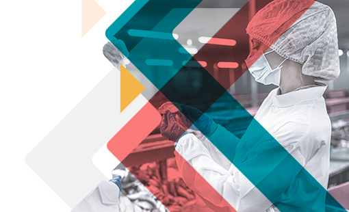 Análisis económico del sector pesca