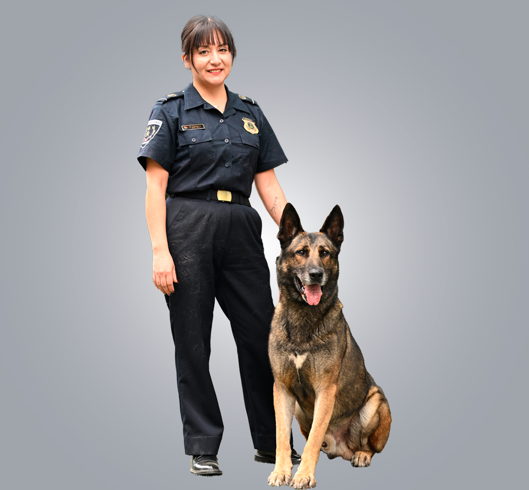 Certificación de Instructores caninos