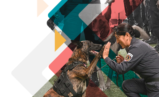 Recertificación Binomio Canino