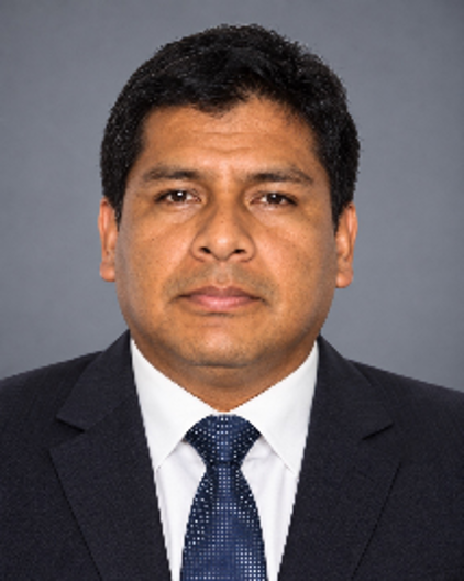 Pedro Palomino