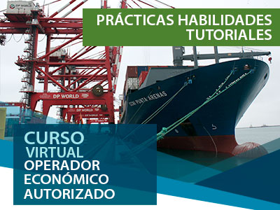 Practicas Habilidades Tutoriales OEA