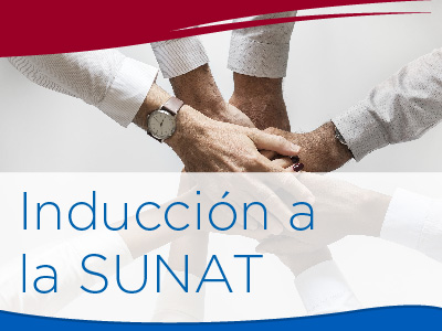 CURSO DE INDUCCIÓN VIRTUAL